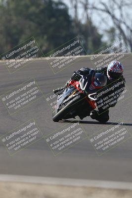 media/Nov-02-2025-Lets Ride (Sun) [[f7a3caa734]]/A Group/12pm (Turn 2 Outside)/